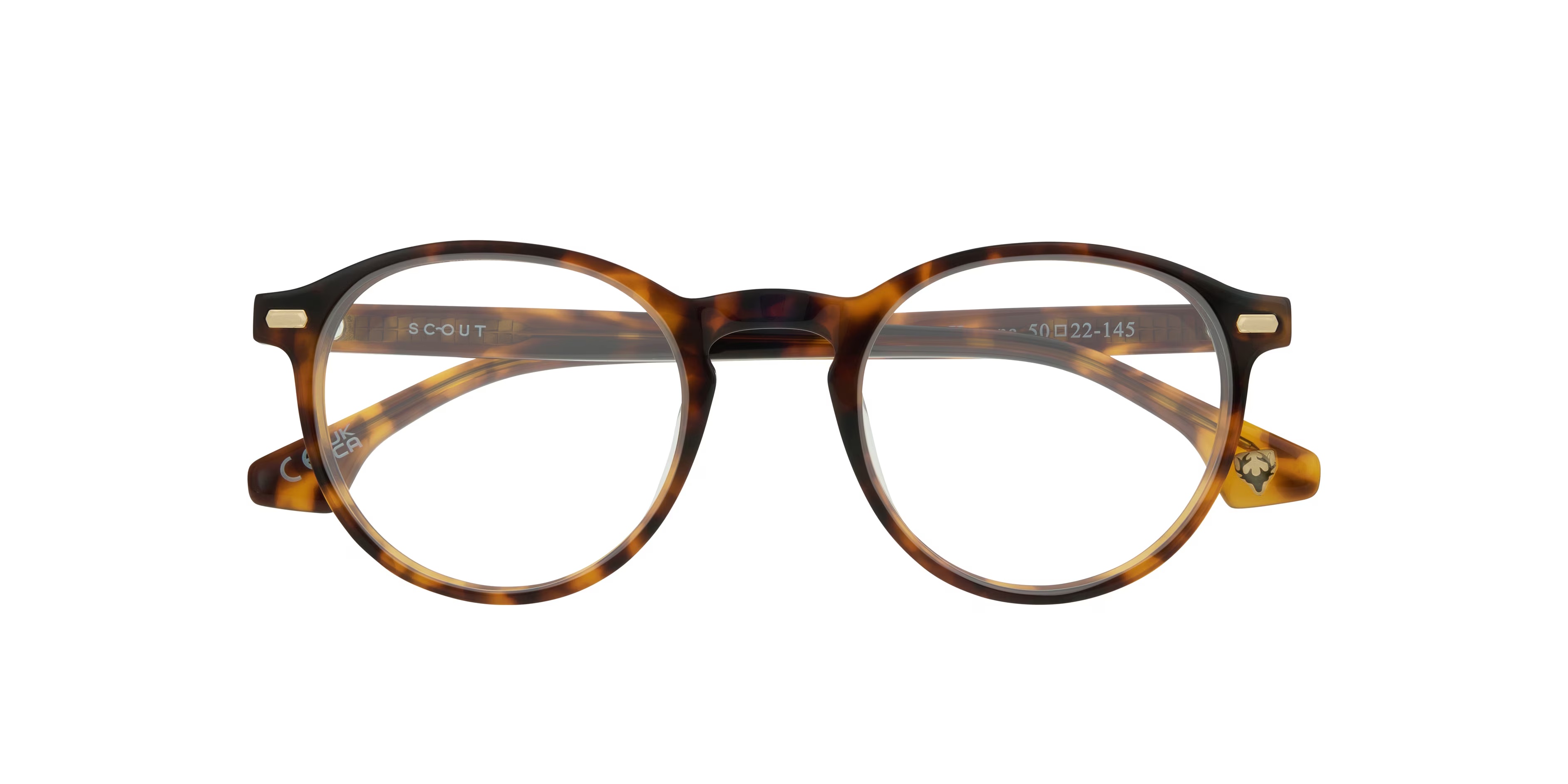 Kian Phantos Havana Glasses for Men 6 Kian Phantos Havana Glasses for Men