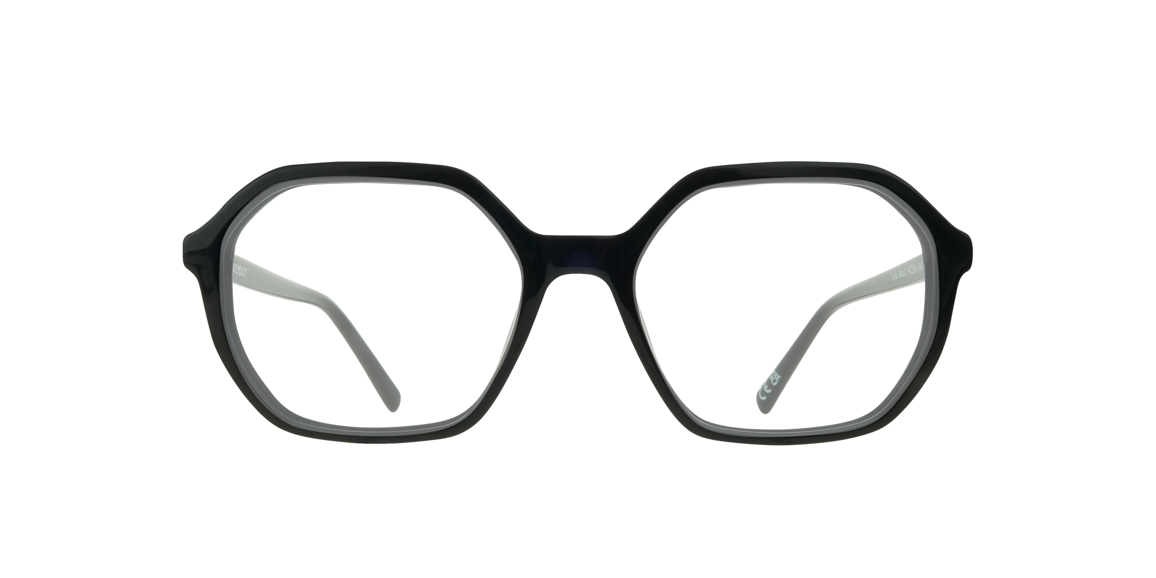 Lola Irregular Black Glasses for Women
