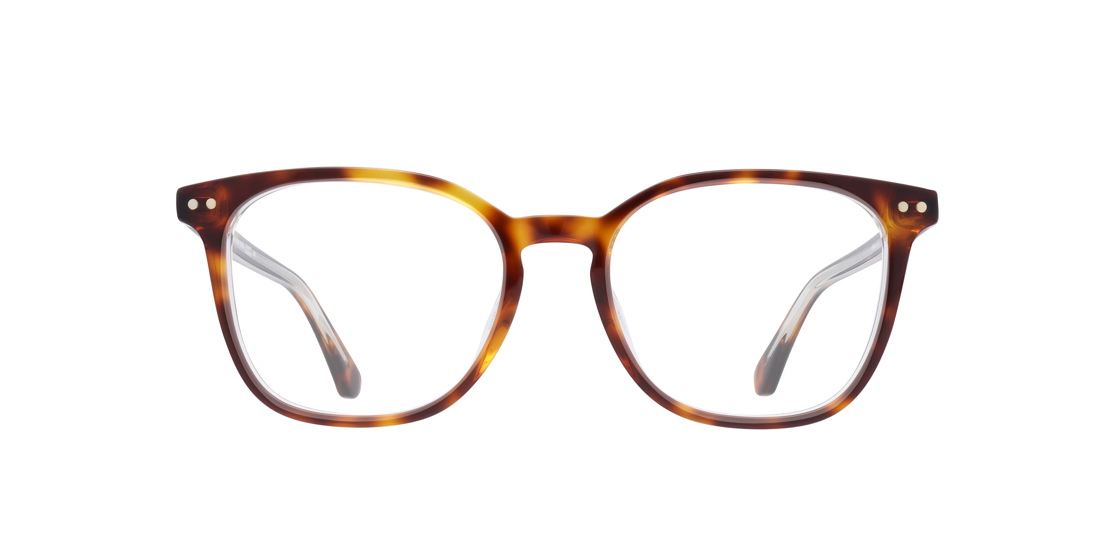 Hermione & G - Phantos Tortoise Frame Glasses For Women