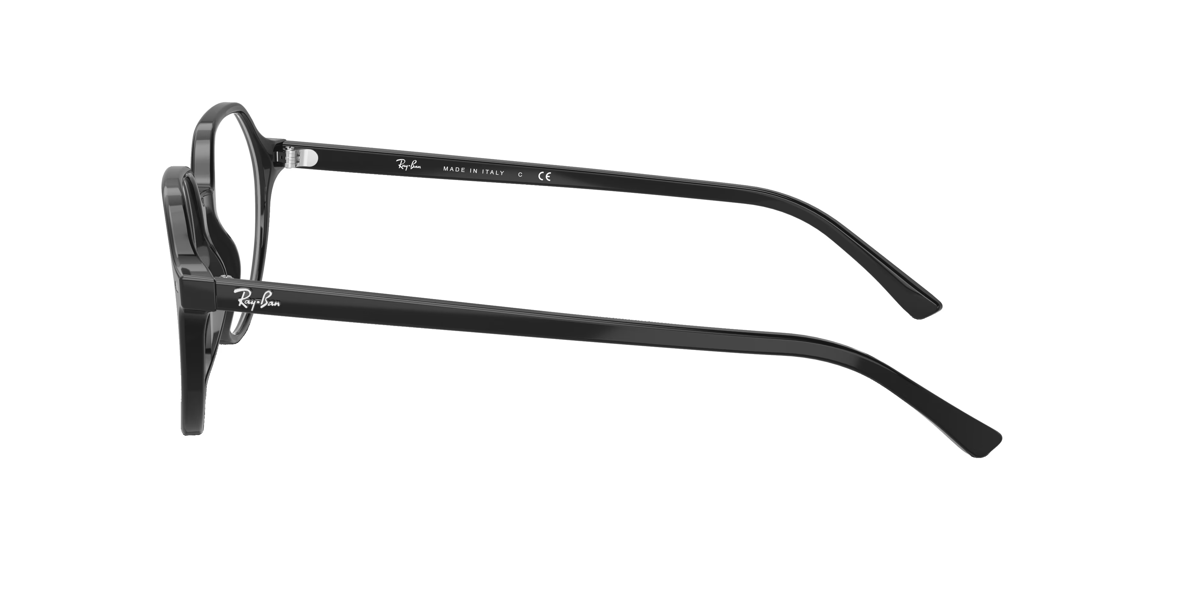 RB5395 - Round Black Frame Eyeglasses 7 RB5395 - Round Black Frame Eyeglasses