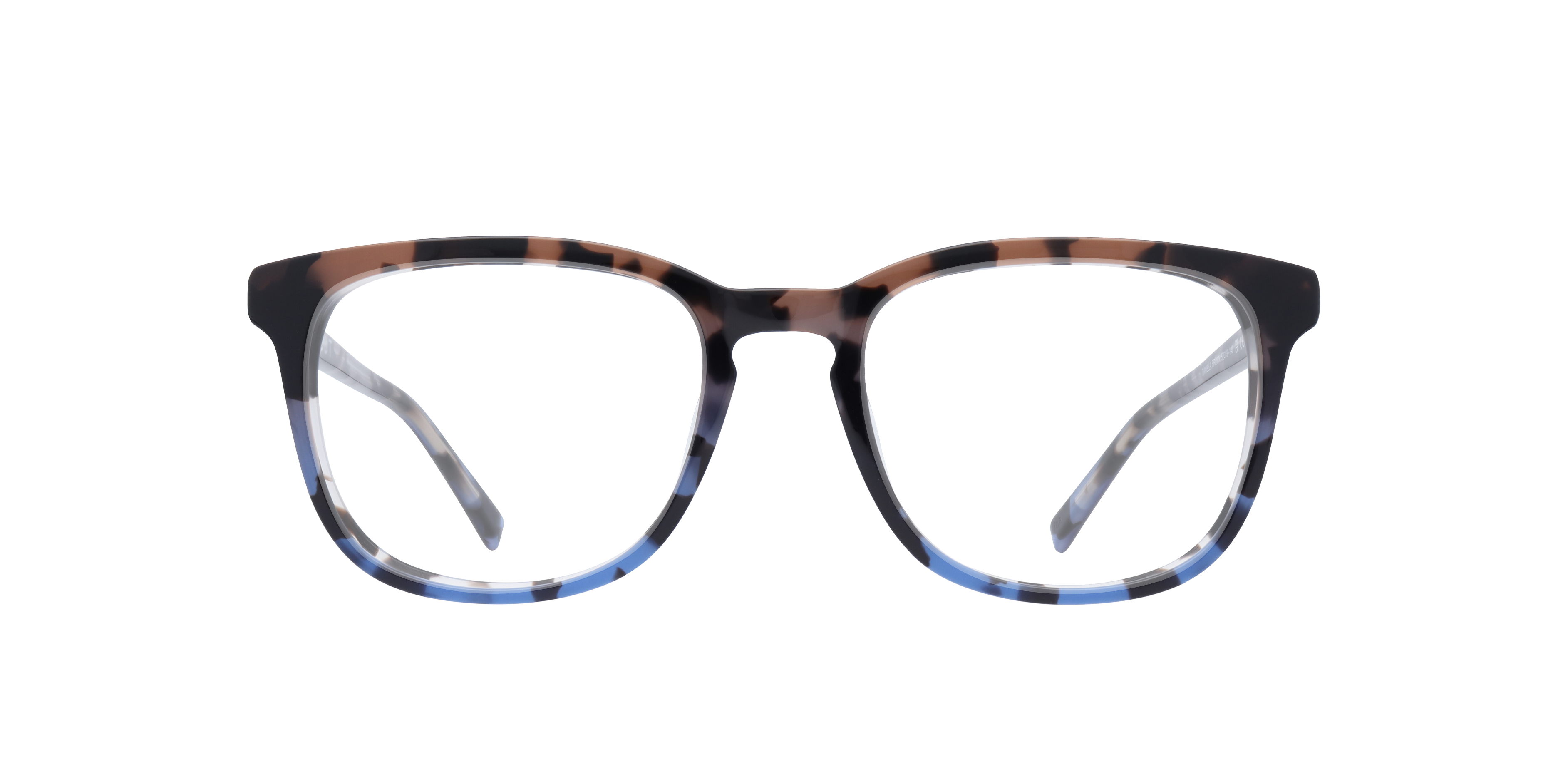 Daniella Oval Brown Glasses for Women