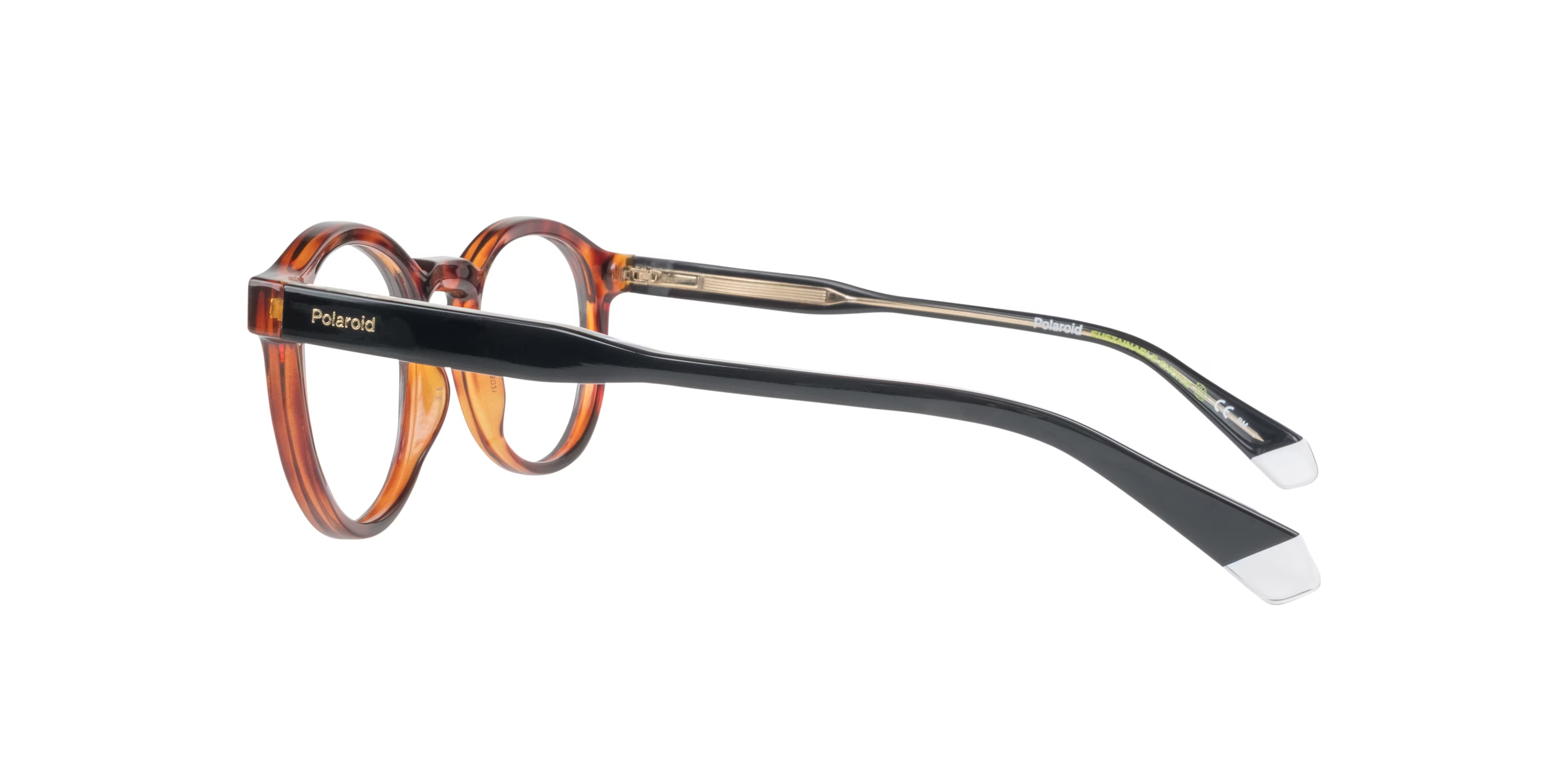 PLD D492 Phantos Tortoise Glasses for Men 5 PLD D492 Phantos Tortoise Glasses for Men