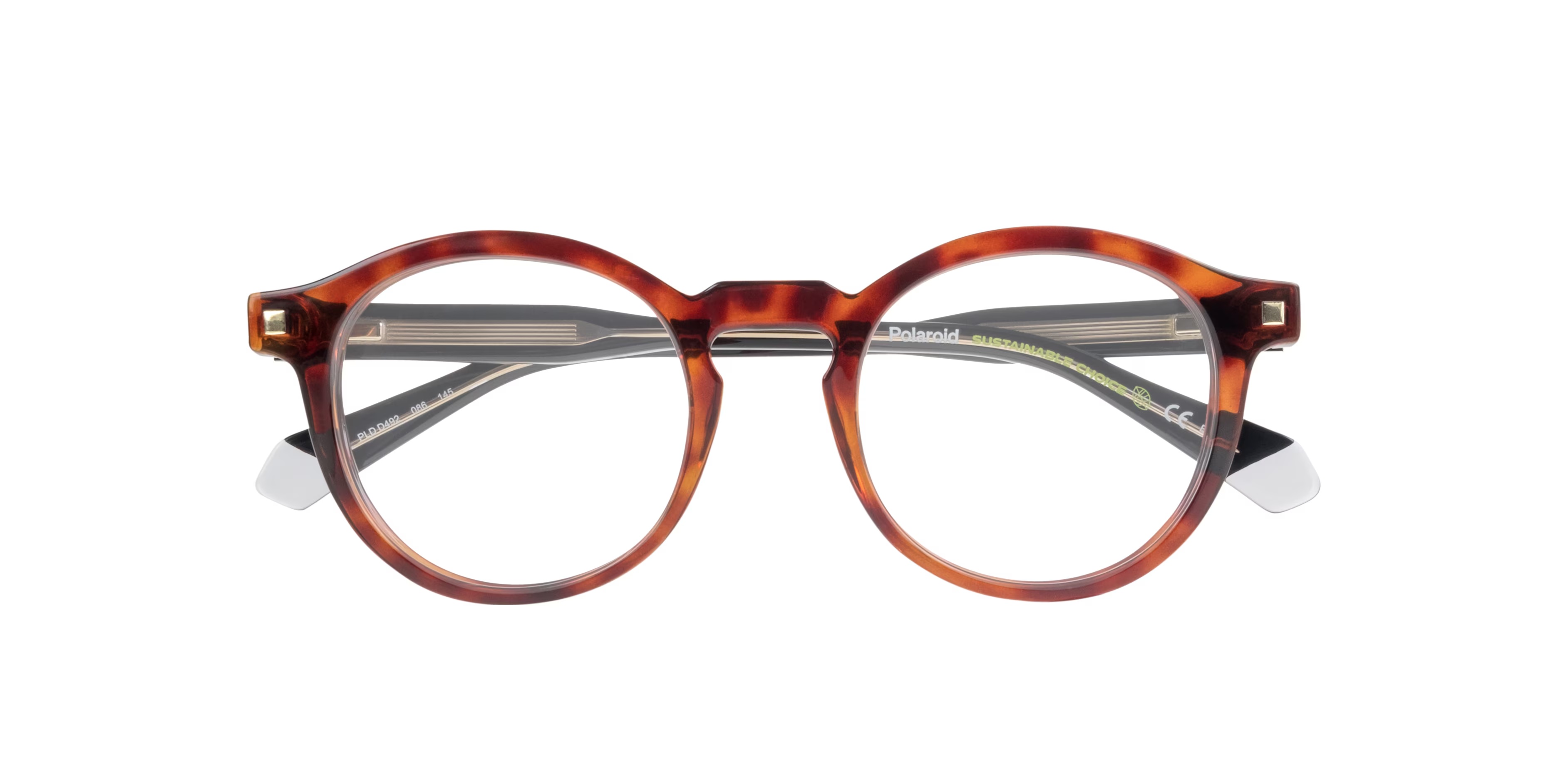 PLD D492 Phantos Tortoise Glasses for Men 6 PLD D492 Phantos Tortoise Glasses for Men